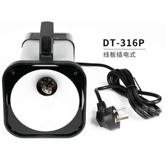 DT316P 便携式频闪仪