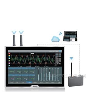 无线数据记录仪TP1100